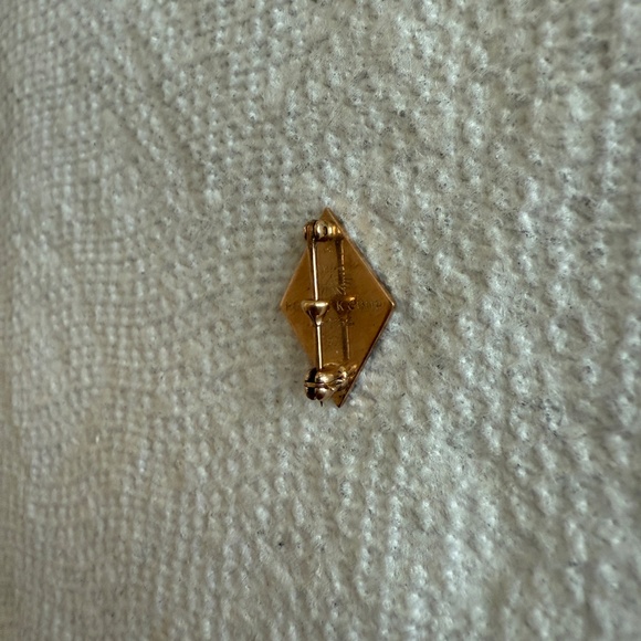 Phi Gamma Delta Pi Fraternity 10k Gold Black Enamel Pin Back - Picture 4 of 5